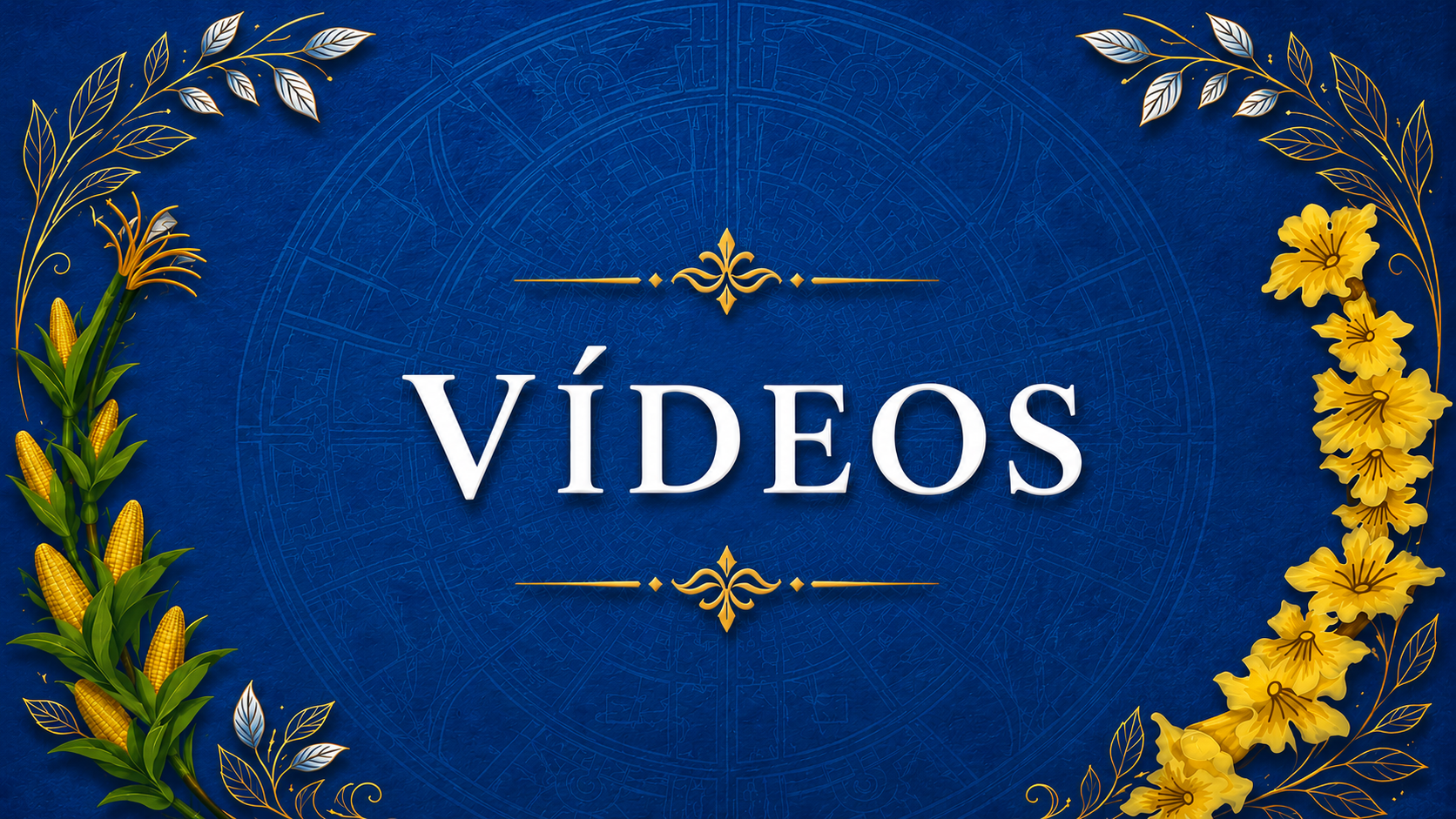 Videos