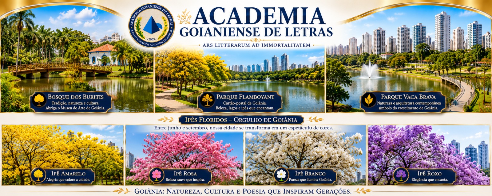 Banner Academia Goianiense 6